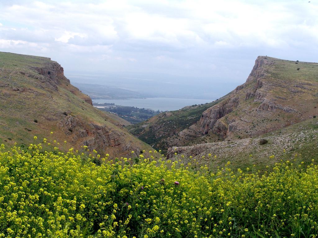 Arbel Holiday Homes Buitenkant foto